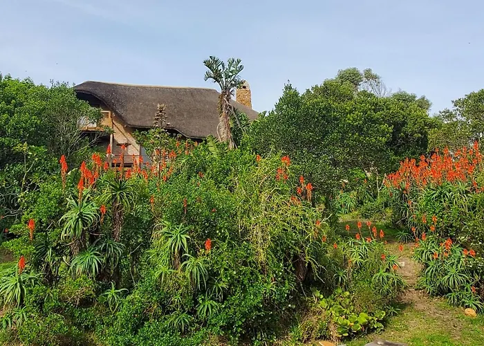Oysterbay Nature Retreat